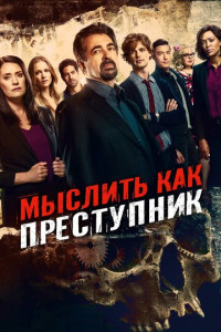 Мыслить как преступник (сериал)